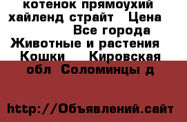 котенок прямоухий  хайленд страйт › Цена ­ 10 000 - Все города Животные и растения » Кошки   . Кировская обл.,Соломинцы д.